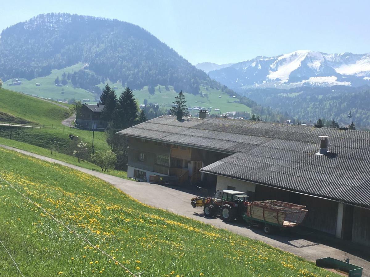 Bauernhof Bilgeri Villa Hittisau Exterior photo